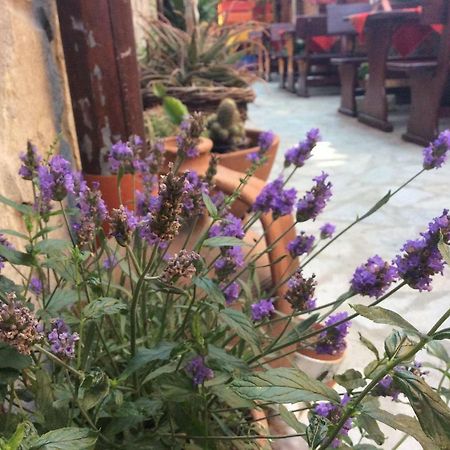 Guest House Gergana Primorsko Exterior foto